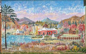 Roadside Image